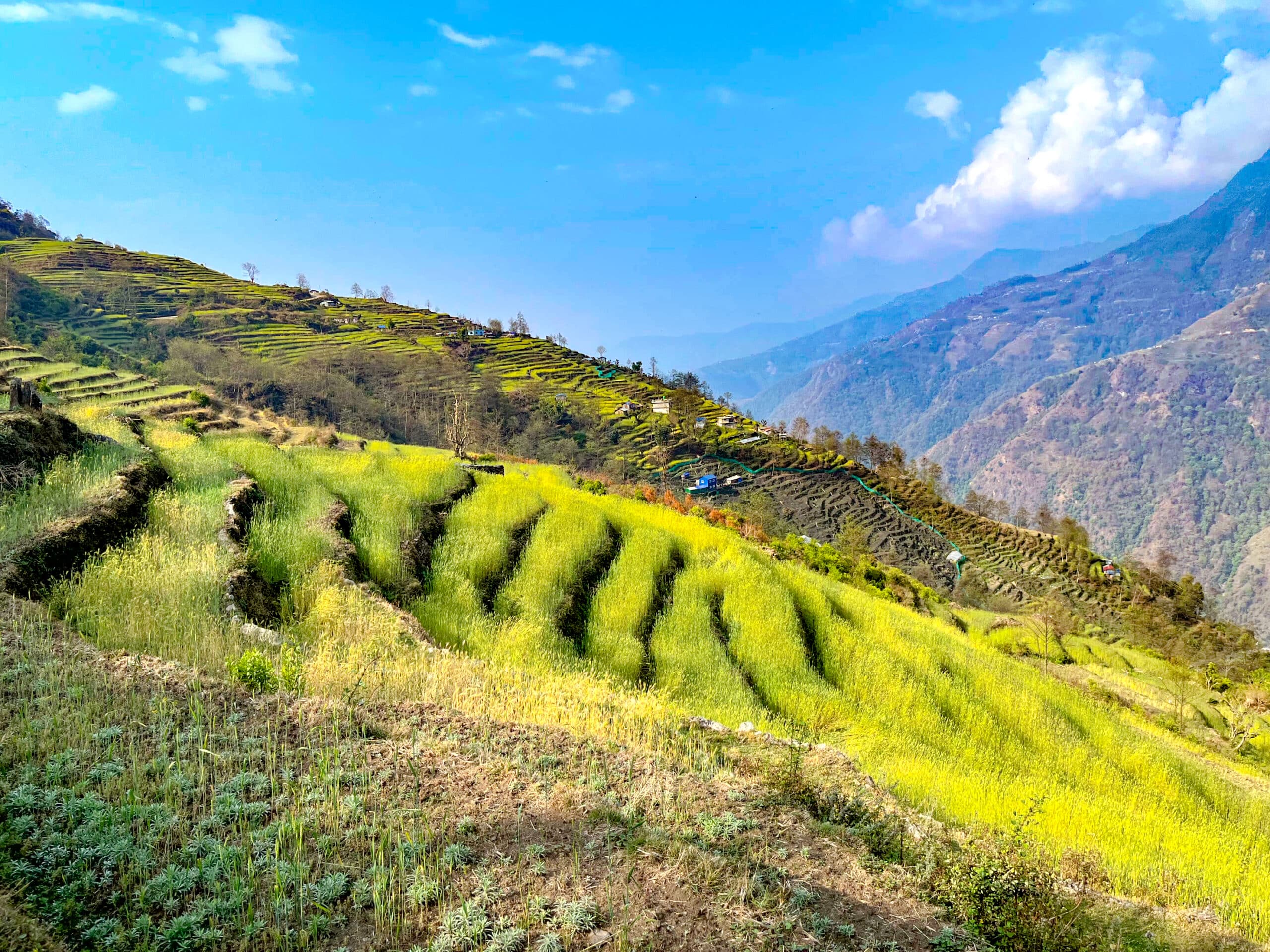 Schulkinder sitzen zu einer Feierlichkeit des Nepalschulprojektes auf dem Schulhof.