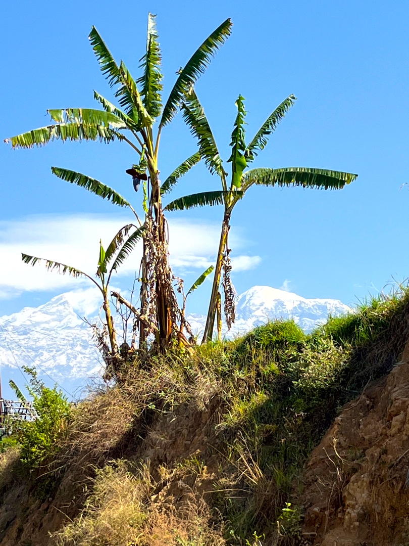 Schulkinder sitzen zu einer Feierlichkeit des Nepalschulprojektes auf dem Schulhof.
