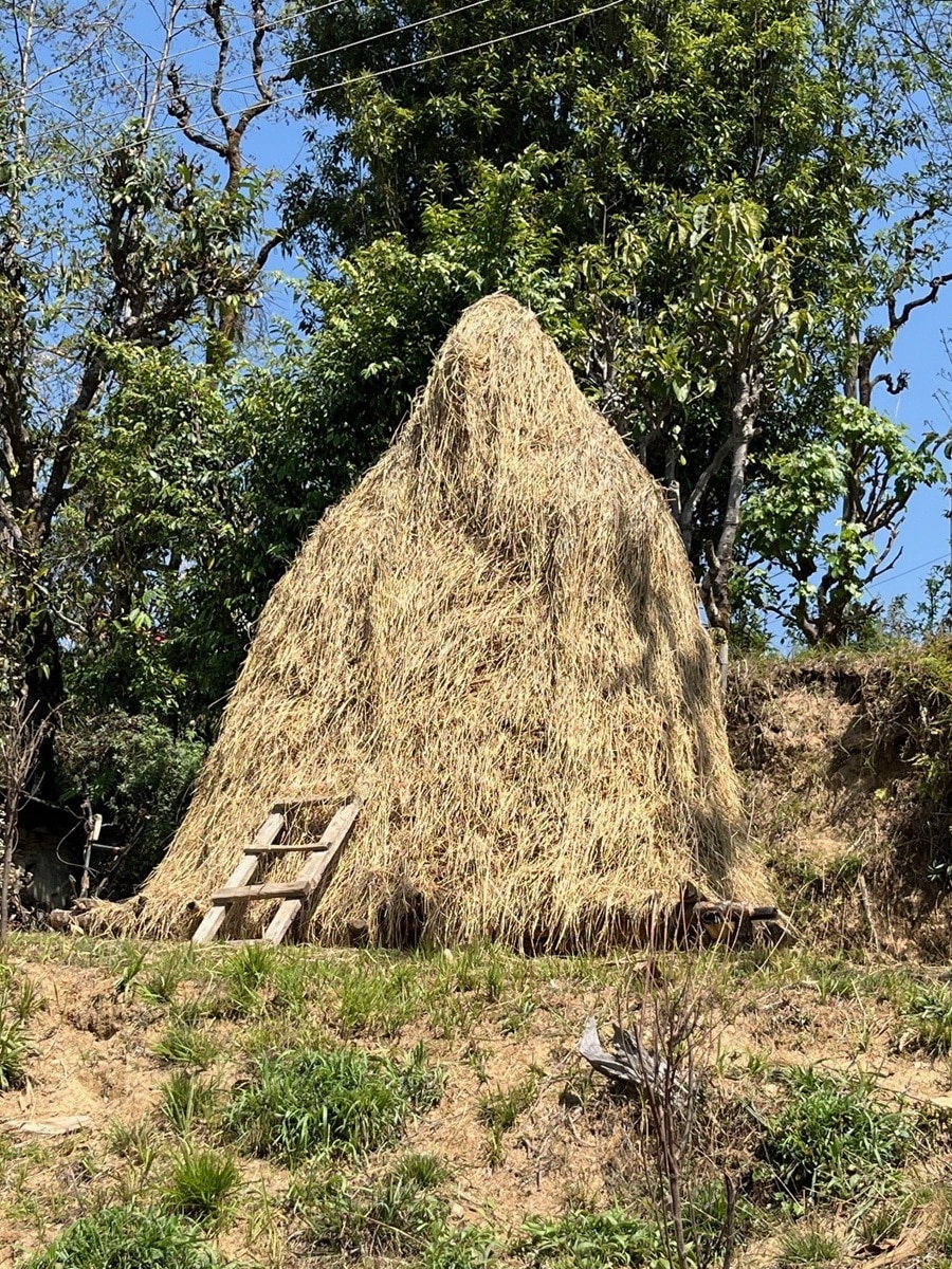 Schulkinder sitzen zu einer Feierlichkeit des Nepalschulprojektes auf dem Schulhof.