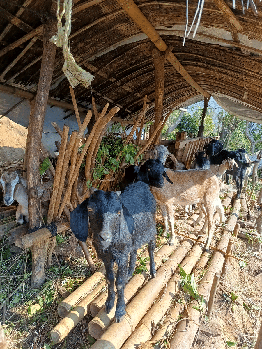 Schulkinder sitzen zu einer Feierlichkeit des Nepalschulprojektes auf dem Schulhof.