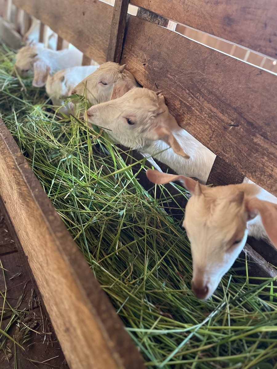Schulkinder sitzen zu einer Feierlichkeit des Nepalschulprojektes auf dem Schulhof.