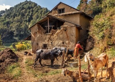 Ziegenzucht in Nepal – Ein Weg aus der Armut